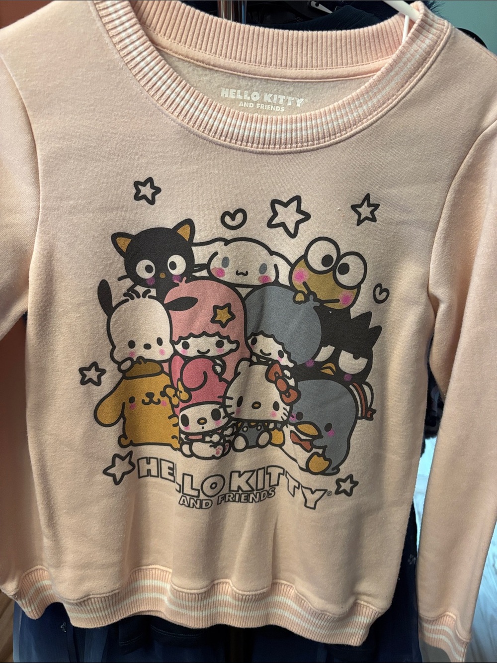 Hello Kitty & Friends Light Pink Graphic Sweatshirt